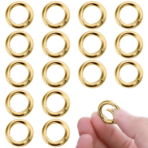 16 Stück Runde Karabiner 20mm Gold Metall karabinerring Feder O Ring Legierung Karabinerhaken Schlüsselbund Zubehör für Schlüsselbund Handwerk DIY von Lusofie