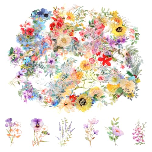 240 Stück Blumen Scrapbook Stickers Transparente PET Sticker Retro Wasserfest Dekorative Aufkleber für DIY Fotoalbum Tagebuch Notizbuch Scrapbooking Zubehör von Lusofie