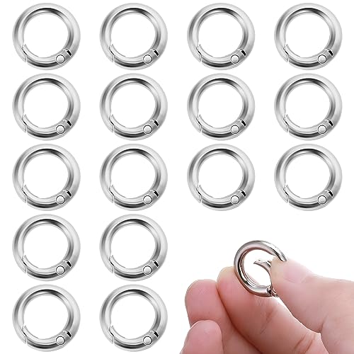 16 Stück Runde Karabiner 20mm Silber Metall Karabiner Ring Feder O Ring Legierung Karabinerhaken Schlüsselbund Zubehör für Schlüsselbund Handwerk DIY von Lusofie