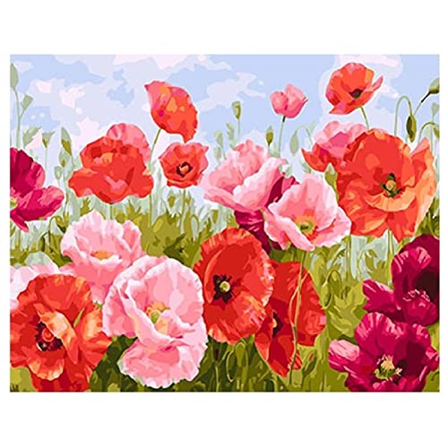 Luxioo Diamond Painting Mohnblumen 5D DIY Diamant Painting Bilder Crystal Strass Stickerei Painting Diamant Malerei Set Kreuzstich, für Home Büro Wall Décor Round Drill,30x40cm von Luxioo