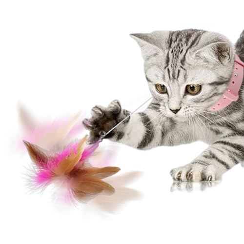 Funny Cat Stick - Retractable Cat Feather Toys With Collar, Cat Stick Toy, Cat Feather Wand, Easy To Use Interactive Pet Toy For Indoor Cats To Play Exercise von Lyricalist