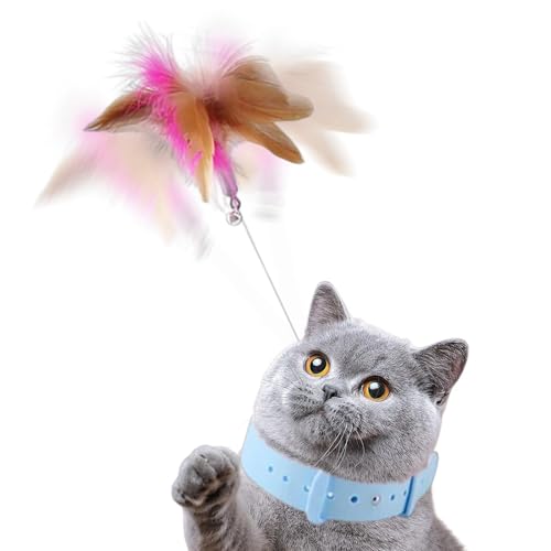 Lyricalist Cat Stick Toy - Pet Teaser Toy with Silicone Collar, Cat Feather Wand, Funny Cat Stick | Interactive Catcher Teaser and Funny Exercise Toy for Kitten or Cats von Lyricalist