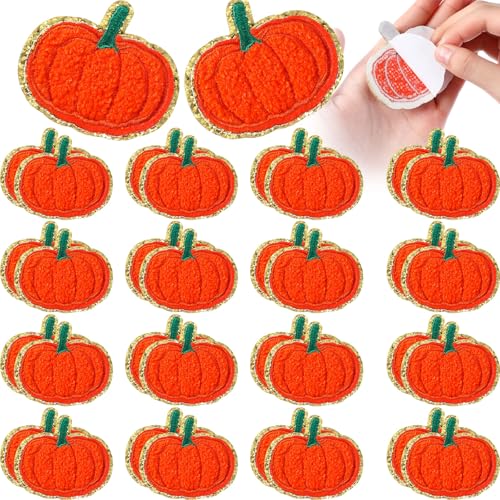 Lyrow 24 Stück Herbst Herbst Patches Thanksgiving Selbstklebend Kürbis Ahornblatt bestickt Chenille Patches Aufnähen Applikation Reparatur Patch für Kleidung DIY Handy Rucksäcke Hut (Kürbis) von Lyrow