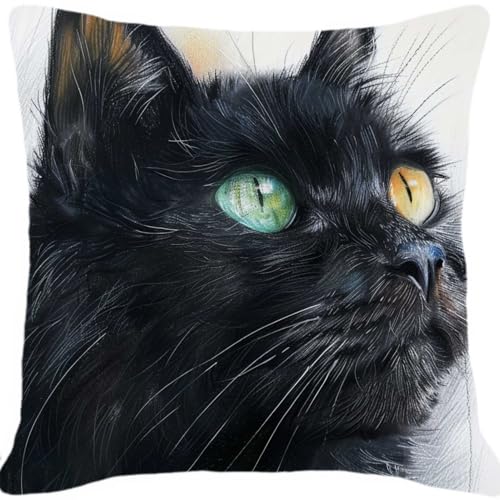 MAFANG 11CT Kreuzstich Kissen Set Schwarze Katze Tier Kreuzstich-Set Für Erwachsene，Stickset，Diy-Handarbeit，Kissen-Set，Urlaubsgeschenke A 45x45cm von MAFANG