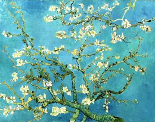 MAFANG 5D Diamond Painting Bilder „Mandelblüte“ Van Gogh Ölgemälde Runder Vollbohrer Strass Kreuzstich Stickerei Kunst，Diy Kunsthandwerk Für Anfänger Geschenke，Heimdekoration 50x70cm von MAFANG