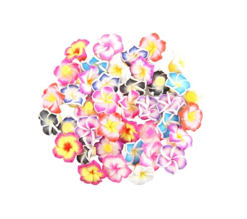 MAHAVIMOKSA 50 Stück 20 mm Polymer-Ton-Plumeria-Blumenperlen, hawaiianische Frangipani-Blumen für Heimwerker, Haare, Hüte, Hochzeit, Party (gemischt, 10 Farben) von MAHAVIMOKSA