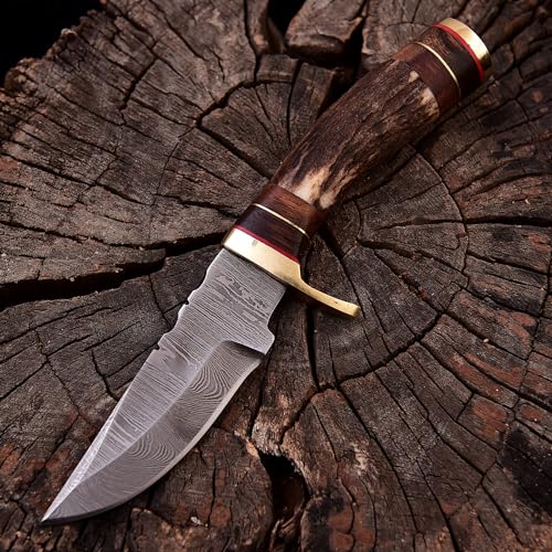 Damast Messer Damaszener Stahl Jagd Knife Damascus Hunting Bowie MAQ2077 von MAQSON