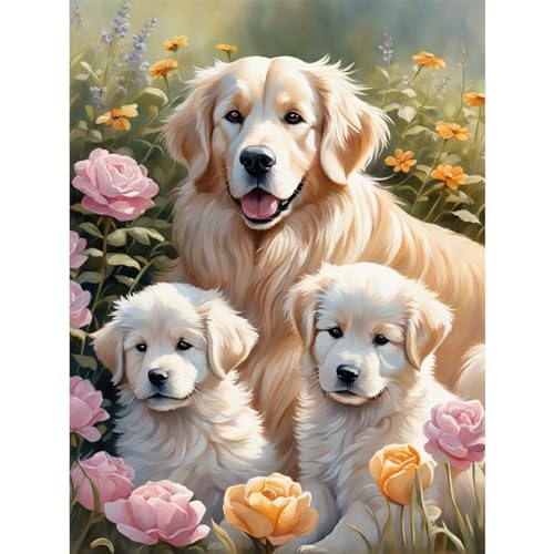 MAXBYE DIY Diamond Painting Set für Erwachsen, Süßer Hund 5D Diamant Painting Bilder Kinder, Diamond Art Painting Kit für Home Wand Décor 30x40cm von MAXBYE