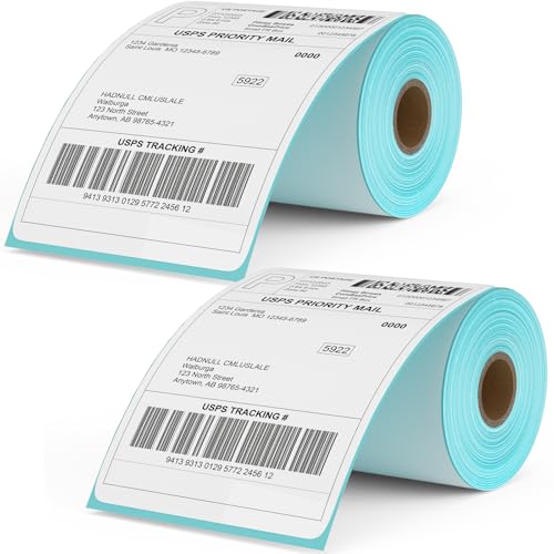 Thermo-Etiketten, perforiert, 10,2 x 15,2 cm, Thermo-Etikettenpapierrolle, kompatibel mit MUNBYN Rollo Zebra Drucker, 250 Etiketten/1 Rolle, 2 Rollen von MBLABEL