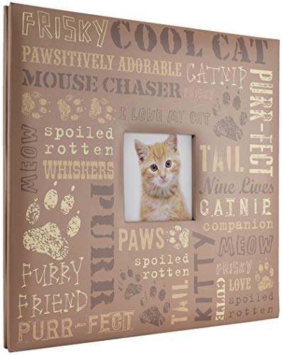 MCS Cool Cat Expandable Zehn 30,5 x 30,5 cm große Scrapbook-Seiten, Vinyl, braun, M von MCS