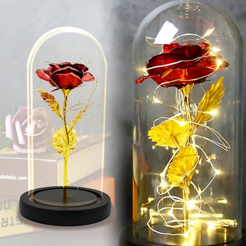 MEDOYOH Glaskuppel für rote und schwarze Rosen, Die Schöne und das Biest Rose mit 20 LEDs 2 m Lichterkette, Batterien im Lieferumfang enthalten, für Geschenk zum Valentinstag, Geburtstag, Hochzeit, von MEDOYOH