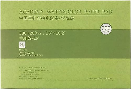 MEEDEN Aquarellpapier: 20 Blatt 300g/m² Mittel (Halbrau) Baumwolle Säurefrei Aquarellblock Malblock DIN A3 Baohong Acrylpapier für Aquarell Gouache Ölmalerei, Geschenke für Künstler Kinder, 10×15" von MEEDEN