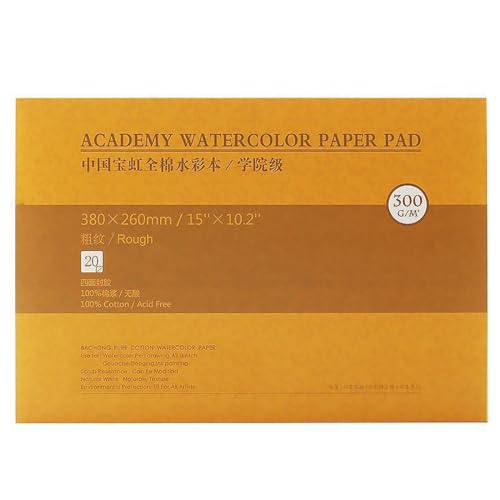 MEEDEN Aquarellpapier: 20 Blatt 300g/m² Rau (Grob) Baumwolle Säurefrei Aquarellblock Malblock DIN A3 Baohong Acrylpapier für Aquarell Gouache Ölmalerei, Geschenke für Künstler Kinder, 10×15" von MEEDEN