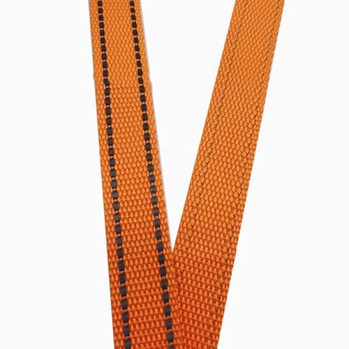 MEIJIU 5 Meter 15 mm reflektierende Linie Polyester-Gurtband 1 mm Dickes Heimwerker-Hundehalsband Rucksackriemen Gürtel Nähzubehör 10 Farben von MEIJIU