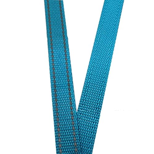 MEIJIU 5 Meter 15 mm reflektierende Linie Polyester-Gurtband 1 mm Dickes Heimwerker-Hundehalsband Rucksackriemen Gürtel Nähzubehör 10 Farben von MEIJIU