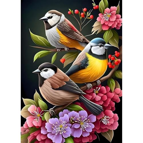 MEIYUDA 5D Diamond Painting Bilder Erwachsene Vögel, Diamond Painting Set Bild Blumen, Diamant Painting Bilder Bastelset Erwachsene Kinder Malerei Stickerei für Home Wand Décor 30x40cm von MEIYUDA