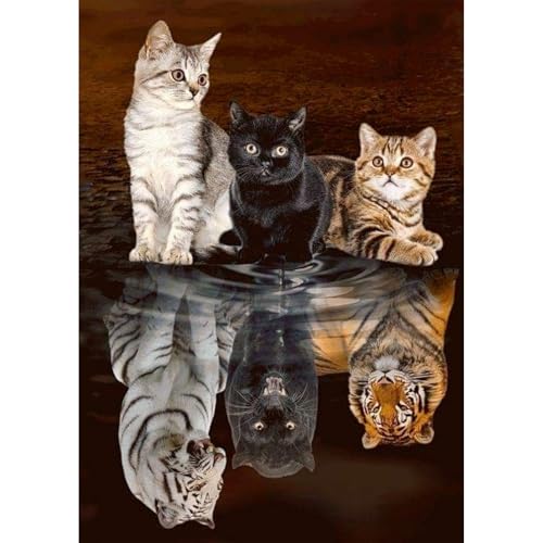 MEIYUDA Diamond Painting Katzen Tiger Reflexionen, 5D Diamond Painting Erwachsene Kinder, DIY Set Erwachsene Diamant Painting Bilder, DIY Handwerk Malerei Kits für Home Wand Décor 30x40cm von MEIYUDA