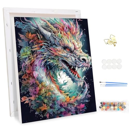 MEIYUDA Malen Nach Zahlen Erwachsene mit Rahmen Drache, DIY Set Handgemalt Ölgemälde Kit für Anfänger Erwachsene Mit 3 Pinseln und Acrylfarbe, Malen Nach Zahlen Geschenke und Home Haus Deko 30x40cm von MEIYUDA