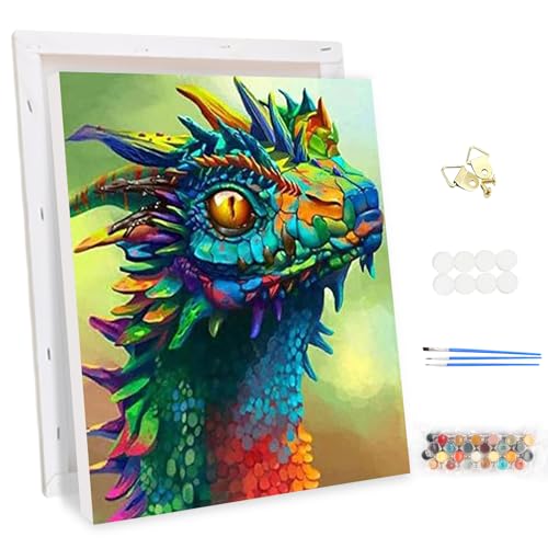 MEIYUDA Malen Nach Zahlen Erwachsene mit Rahmen Drache, DIY Set Handgemalt Ölgemälde Kit für Anfänger und Erwachsene Mit 3 Pinseln und Acrylfarbe, Geschenke und Home Haus Deko 30x40cm von MEIYUDA