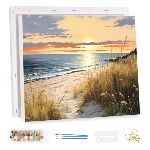 MEIYUDA Malen Nach Zahlen Erwachsene mit Rahmen Landscape, Seaside DIY Set Handgemalt Ölgemälde Kit für Anfänger und Erwachsene Mit 3 Pinseln und Acrylfarbe, Geschenke und Home Haus Deko 40x30cm von MEIYUDA