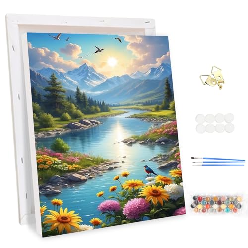 MEIYUDA Malen Nach Zahlen Erwachsene mit Rahmen Landschaft, DIY Set Handgemalt Ölgemälde Kit für Anfänger und Erwachsene Mit 3 Pinseln und Acrylfarbe Natur, Geschenke und Home Haus Deko 30x40cm von MEIYUDA