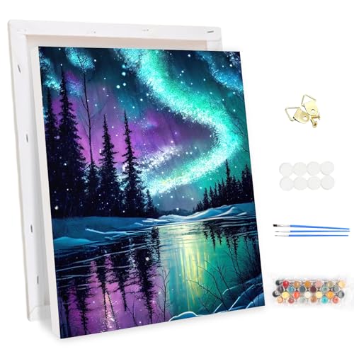 MEIYUDA Malen Nach Zahlen Erwachsene mit Rahmen Nordlichter, DIY Set Handgemalt Ölgemälde Kit für Anfänger und Erwachsene Mit 3 Pinseln und Acrylfarbe, Geschenke und Home Haus Deko 30x40cm von MEIYUDA