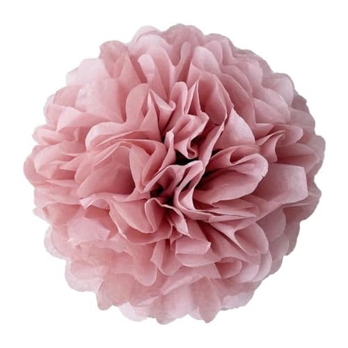 China Festival Dekorative Laterne 5 Pcs Seidenpapier Pompons Blume Girlande Hochzeit Dekoration DIY Papier Blumen Ball Geburtstag Party Dekoration(Blush,10 inches 25cm) von MEYINGOU