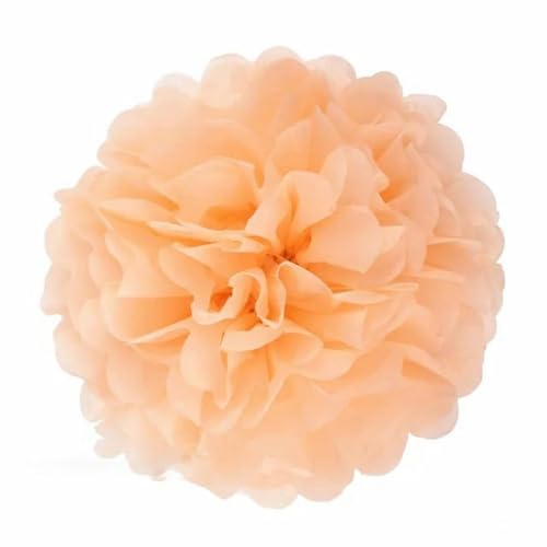 China Festival Dekorative Laterne 5 Pcs Seidenpapier Pompons Blume Girlande Hochzeit Dekoration DIY Papier Blumen Ball Geburtstag Party Dekoration(Peach orange,14 inches 35cm) von MEYINGOU