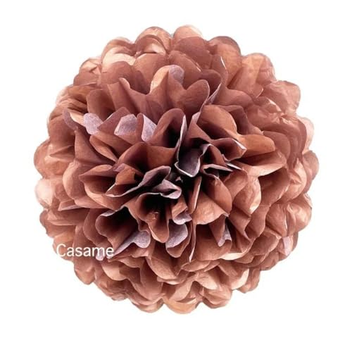 China Festival Dekorative Laterne 5 Pcs Seidenpapier Pompons Blume Girlande Hochzeit Dekoration DIY Papier Blumen Ball Geburtstag Party Dekoration(Roes gold,8 inches 20cm) von MEYINGOU