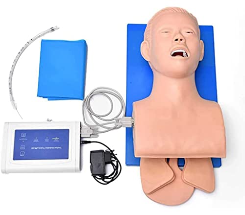 Anatomisches Modell Oral l Intubationspuppen-Simulator Atemwegsmanagement-Trainer Intubations-Lehr-Studienmodell Puppen-Lehrmodell von MFYHMY