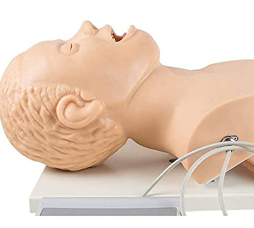 MFYHMY Intubationspuppen-Lehrmodell für Erwachsene, Intubationspuppen-Simulator, Atemwegsmanagement-Trainer, Intubations-Lehrstudien-Modellpuppe. von MFYHMY