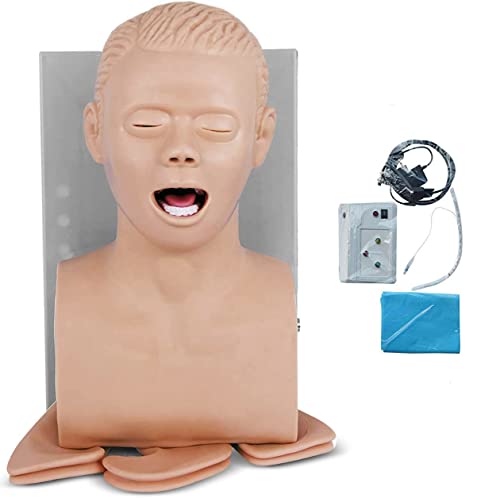 MFYHMY Intubationssimulator-Modell, PVC-Intubationspuppe für Erwachsene, Lehrmodell, oraler oder l-Trainer für Atemwegsmanagement, Trachealwissenschaft, Laborausbildung von MFYHMY