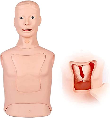 MFYHMY Lehrmodell, Intubationspuppe Oraler und l-Atemwegs-Tracheal-Intubationssimulator mit anatomischer Strukturanzeigeoberfläche der Luftröhre und l-Höhle und elektronisch von MFYHMY