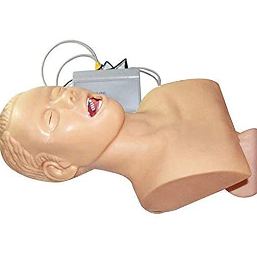 MFYHMY Lehrmodell, Oral-Intubationspuppe, Lehrmodell, elektronisches menschliches Trachealintubationsmodell, mit Druckalarm für Labor-Atemwegsmanagement von MFYHMY
