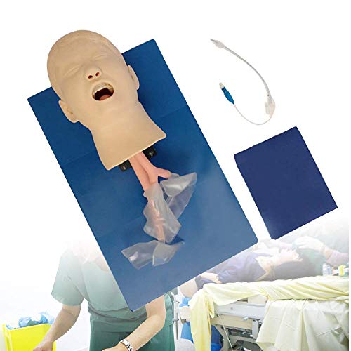 MFYHMY Oral l Intubationspuppe, Atemwegsmanagement-Trainer, Intubationspuppenstudie, Lehrmodell, Atemwegsmanagement-Trainer, PVC-Demo mit Schlauch für Intubation von MFYHMY