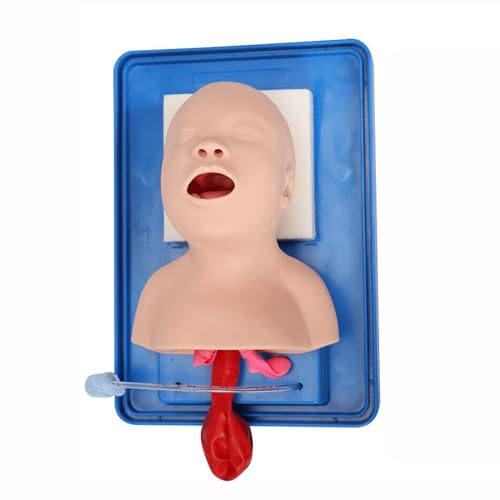 MFYHMY PVC-Intubationspuppe, Studienlehrmodell, Säuglingsbabymodell, Atemwegsmanagement-Trainer-Tool mit Schlauch von MFYHMY
