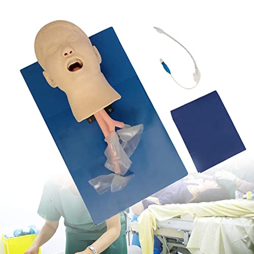 MFYHMY PVC-Pädiatrie-Intubationspuppe-Studien-Lehrmodell, Oral-L-Intubationspuppe-Studien-Lehrmodell Atemwegsmanagement-Trainer-Demo mit Schlauch von MFYHMY