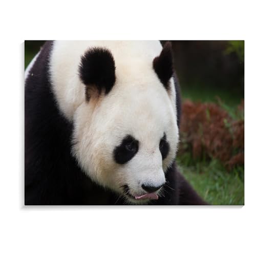 1000-Teiliges Puzzle Für Erwachsene, Weihnachts-Panda-Familienspielsammlung, Lernspielzeug-Geschenke, Holzpuzzle Für Erwachsene (75 × 50 cm) von MIDUNU