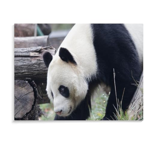 1000-Teiliges Puzzle Für Erwachsene, Weihnachts-Panda-Familienspielsammlung, Lernspielzeug-Geschenke, Holzpuzzle Für Erwachsene (75 × 50 cm) von MIDUNU