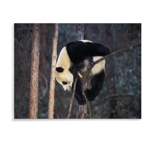 1000-Teiliges Puzzle Für Erwachsene, Weihnachts-Panda-Familienspielsammlung, Lernspielzeug-Geschenke, Holzpuzzle Für Erwachsene (75 × 50 cm) von MIDUNU