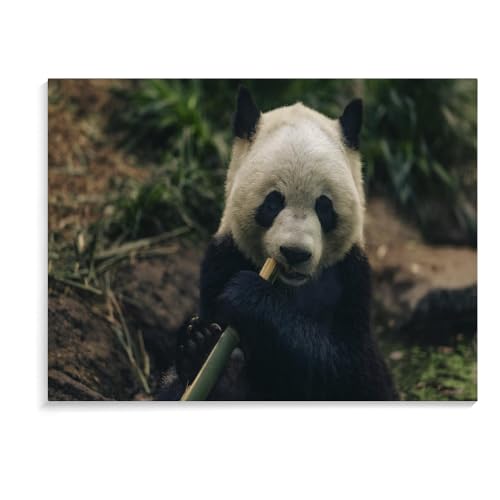 1500-Teiliges Puzzle Für Erwachsene, Panda-Familienbildung, Lernspielzeug, Holzpuzzlespiele, Schwierige Puzzles Für Erwachsene (87 × 57 cm) von MIDUNU