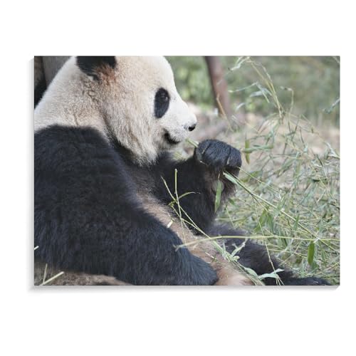 1500-Teiliges Puzzle Für Erwachsene, Panda-Familienbildung, Lernspielzeug, Holzpuzzlespiele, Schwierige Puzzles Für Erwachsene (87 × 57 cm) von MIDUNU