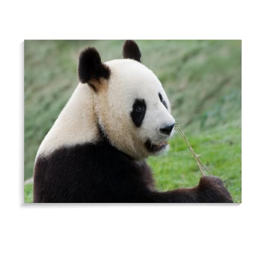 1500-Teiliges Puzzle Für Erwachsene, Panda-Familienbildung, Lernspielzeug, Holzpuzzlespiele, Schwierige Puzzles Für Erwachsene (87 × 57 cm) von MIDUNU