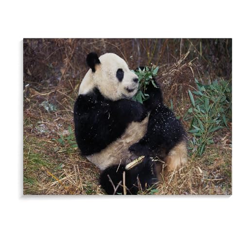 1500-Teiliges Puzzle Für Erwachsene, Panda-Familienbildung, Lernspielzeug, Holzpuzzlespiele, Schwierige Puzzles Für Erwachsene (87 × 57 cm) von MIDUNU