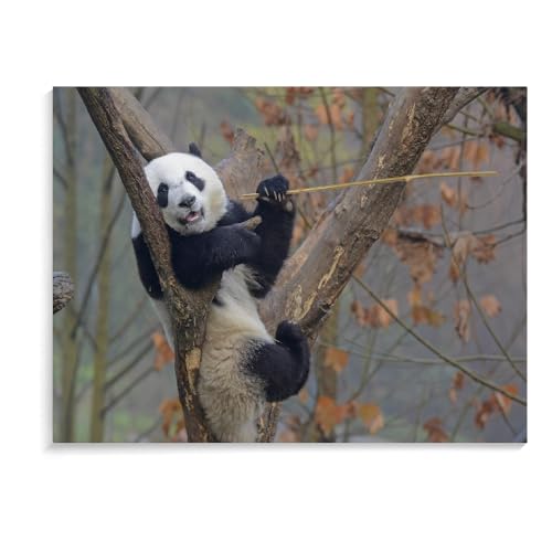 Holzpuzzle Für Erwachsene Panda-Puzzle Für Erwachsene, 1500 Teile, Großes Puzzlespiel, Interessantes Personalisiertes Spielzeuggeschenk (87 × 57 cm) von MIDUNU