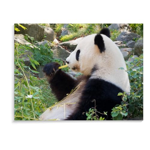 Holzpuzzle Für Erwachsene Panda-Puzzle Für Erwachsene, 1500 Teile, Großes Puzzlespiel, Interessantes Personalisiertes Spielzeuggeschenk (87 × 57 cm) von MIDUNU