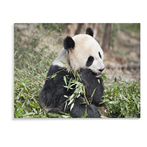 Holzpuzzle Für Erwachsene Panda-Puzzle Für Erwachsene, 1500 Teile, Großes Puzzlespiel, Interessantes Personalisiertes Spielzeuggeschenk (87 × 57 cm) von MIDUNU