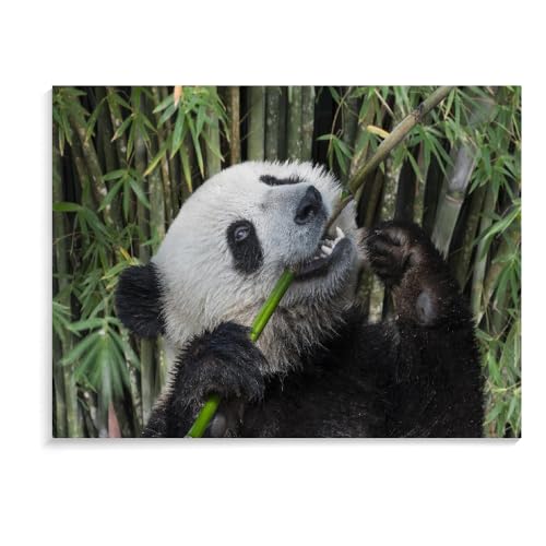 Puzzle Für Erwachsene, 500 Teile, Panda, Personalisiertes Geschenk, Zusammenbauspielzeug, Spiele, Puzzle, Geschenk, Puzzle 500 Teile Für Erwachsene Und Kinder (52 × 38 cm) von MIDUNU