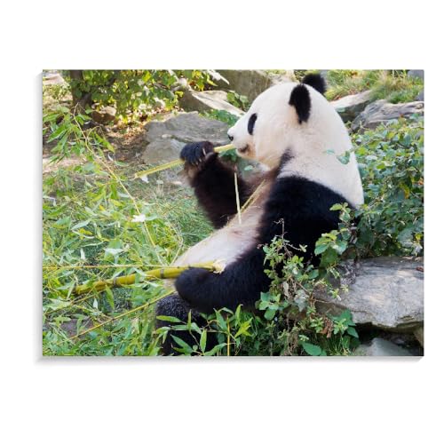 Puzzle Für Erwachsene 500 Teile Panda Intellektuelles Entspannungsspiel Für Kinder Erwachsene Spielzeug Geschenk 3D-Puzzle Für Erwachsene (52 × 38 cm) von MIDUNU