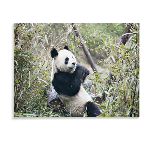 Puzzle Für Erwachsene 500 Teile Panda Intellektuelles Entspannungsspiel Für Kinder Erwachsene Spielzeug Geschenk 3D-Puzzle Für Erwachsene (52 × 38 cm) von MIDUNU